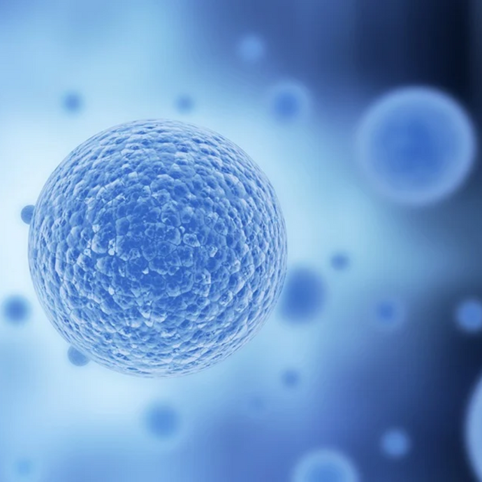 HLA-G Exosomes: The Future of Regenerative Skincare for Clinics and Aesthetic Professionals.