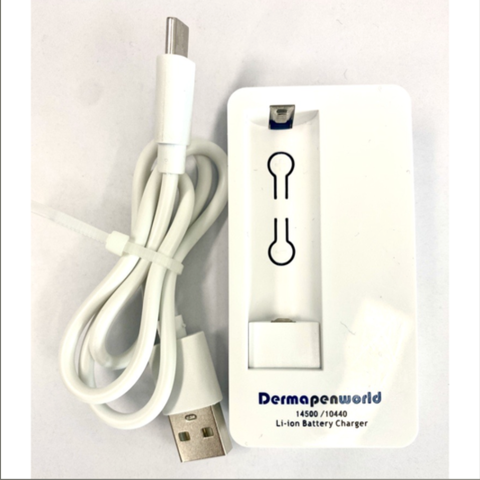 Dp4 Lithium Ion Battery Charger 1