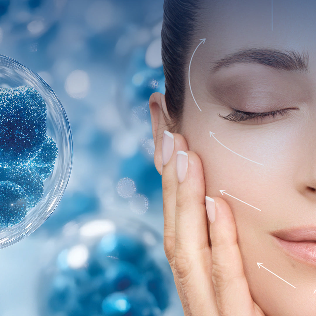 SUPPORTS SKIN REGENERATION