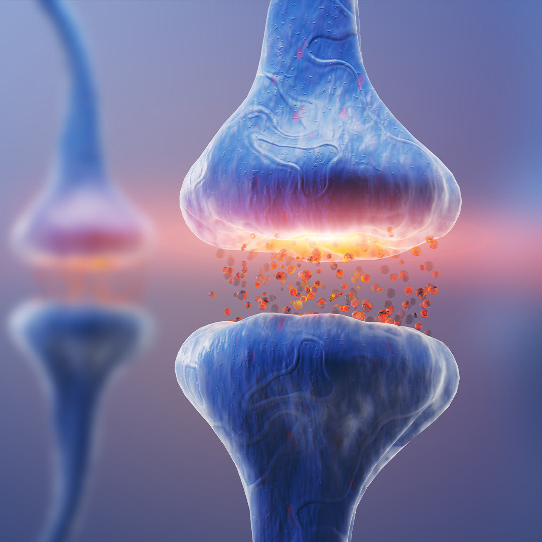 WHAT ARE EXOSOMES?